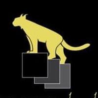 Carrelages le lynx