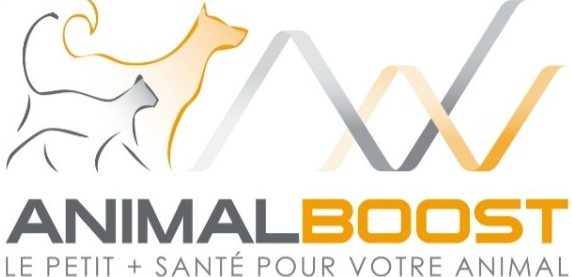 site web liège
