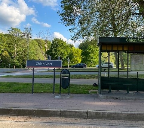 agence de création de site internet à Woluwe Avenue de Tervueren